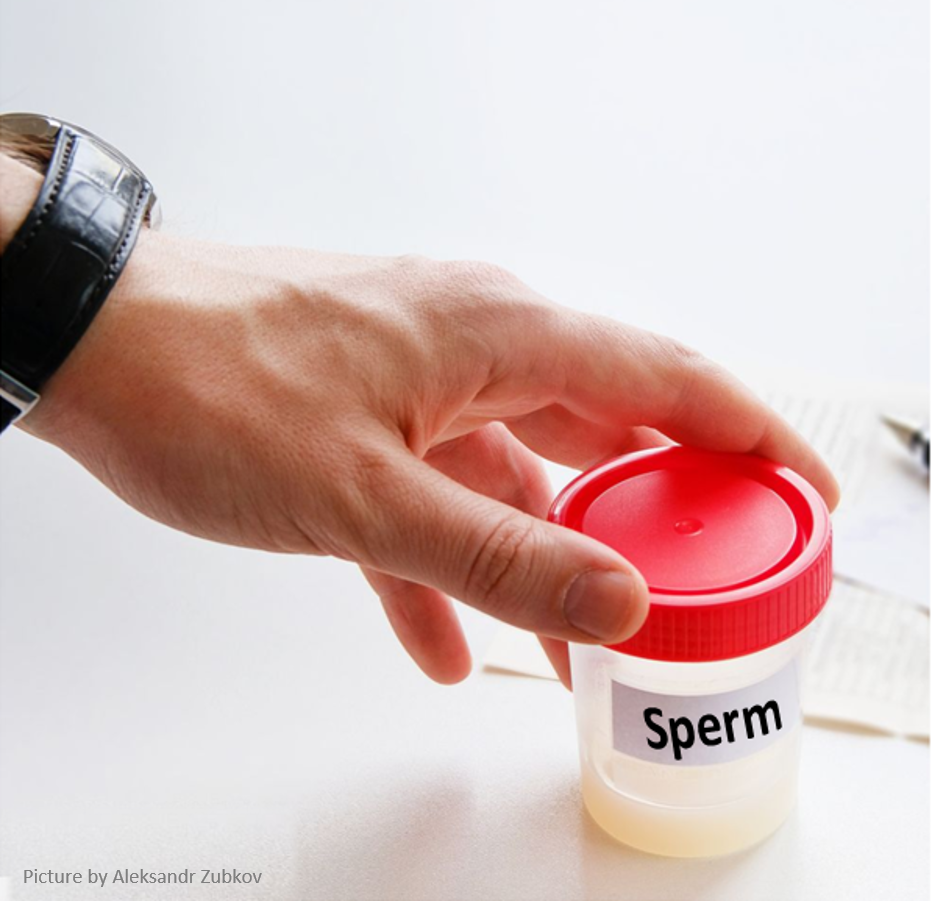 sperm testing